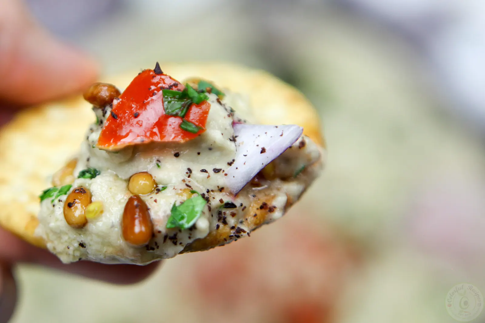 Lebanese baba ghanouj eggplant dip topped with tomatoes, parsley, pine nuts and radishes